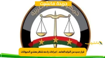 قرار جديد من النيابة العامة.. إجراءات رادعة تنتظر معتدي الحيوانات 1